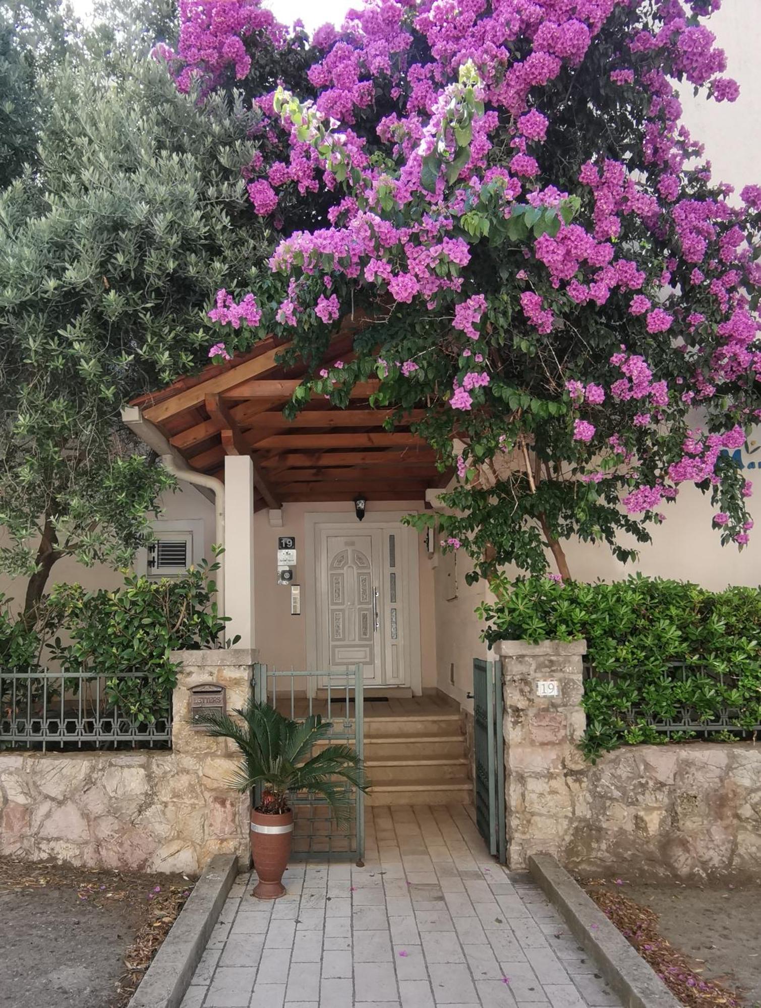 Apartman Maris